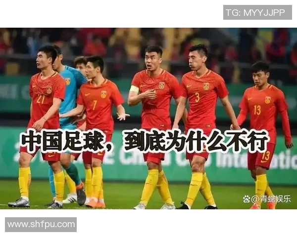 足球明星们对中国足球的热爱与支持展现了怎样的情感与期待